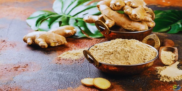 خواص و کاربرد زنجبیل