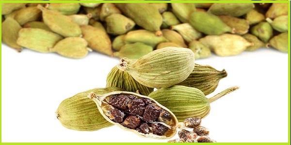 هل اکبر بنفش کیلویی