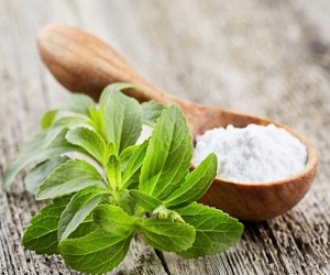 خرید استویا شیرین کننده طبیعی