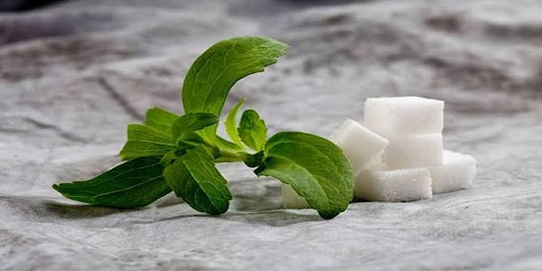 شیرین کننده طبیعی استویا چیست