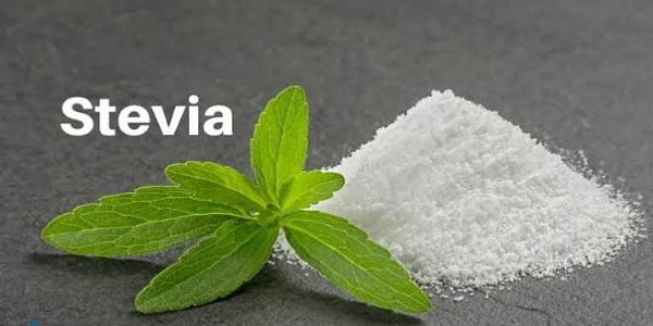 استویا شیرین کننده طبیعی
