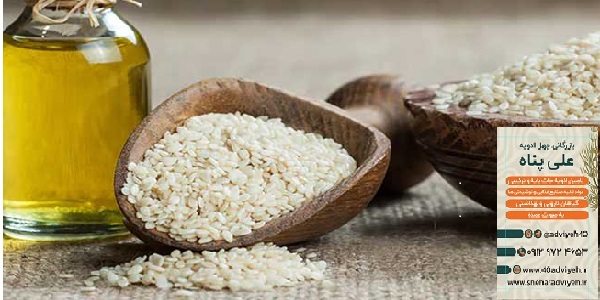 کنجد مخصوص روغن گیری با درصد بالا