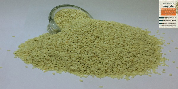 کنجد بدون پوست هندی